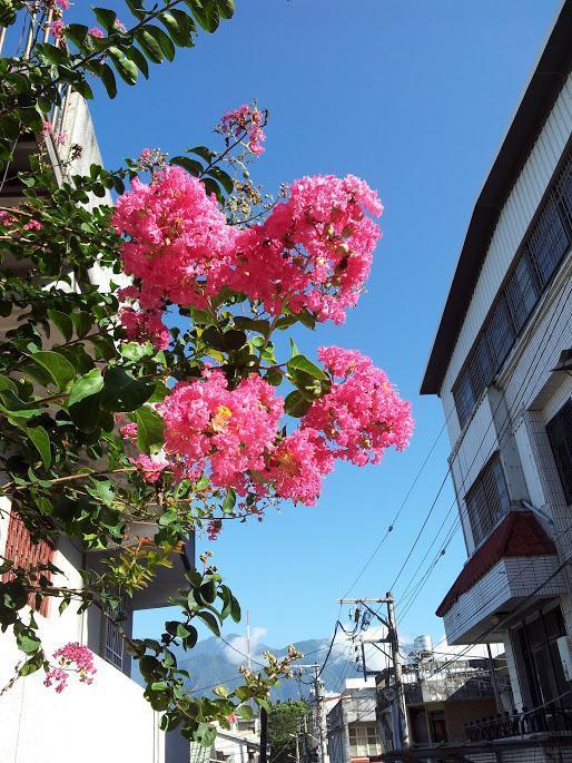 Literature River Bank 文學河岸 民宿 화롄 외부 사진