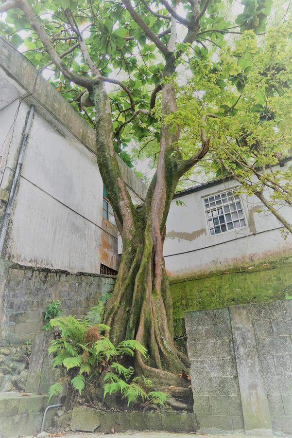 Literature River Bank 文學河岸 民宿 화롄 외부 사진